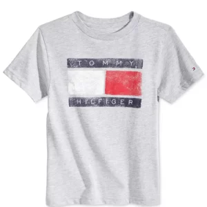 Remera MC Gris Tommy Hilfiger - 2 Años
